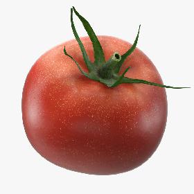 Tomato model
